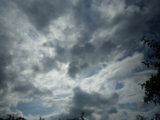 IMGP0185.JPG