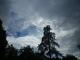 IMGP0206.JPG