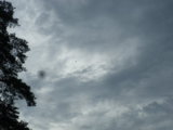 IMGP0211.JPG