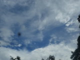 IMGP0209.JPG