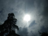 IMGP0256.JPG