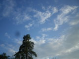 IMGP0259.JPG