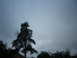IMGP0301.JPG