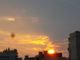 IMGP0130.JPG