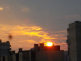 IMGP0133.JPG
