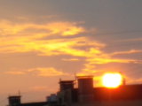 IMGP0134.JPG