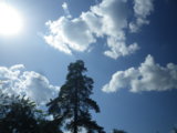 IMGP0953.JPG