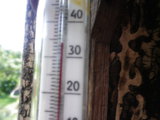 IMGP0970.JPG