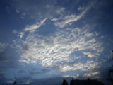 IMGP0998.JPG