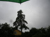 IMGP1018.JPG