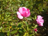 IMG_20180828_104158.jpg