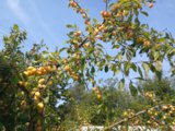 IMG_20180828_105056.jpg