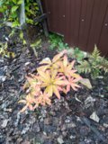 IMG_20191012_104946.jpg