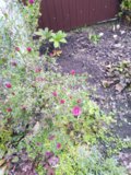IMG_20191012_105924.jpg