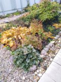 IMG_20191012_105102.jpg
