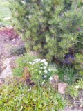 IMG_20191012_105320.jpg
