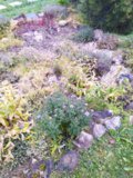 IMG_20191012_105306.jpg