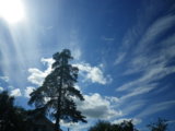 IMGP9382.JPG