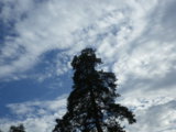 IMGP8636.JPG