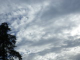 IMGP8635.JPG