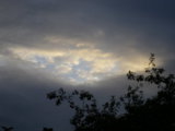 IMGP8652.JPG