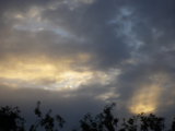 IMGP8656.JPG