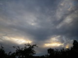 IMGP8659.JPG