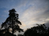 IMGP8660.JPG