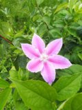 IMG_20200824_080239.jpg