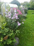 IMG_20200824_080841.jpg