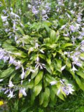 IMG_20200824_080858.jpg