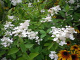 IMGP8789.JPG