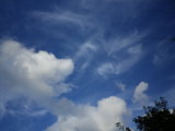 IMGP8692.JPG