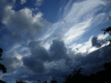IMGP8694.JPG