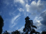 IMGP8695.JPG