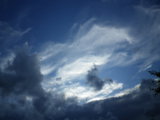 IMGP8704.JPG