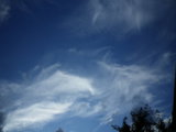 IMGP8697.JPG