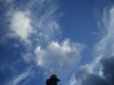 IMGP8698.JPG