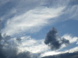 IMGP8699.JPG