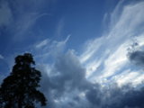 IMGP8706.JPG