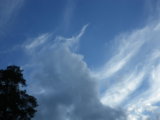 IMGP8709.JPG