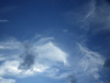 IMGP8714.JPG