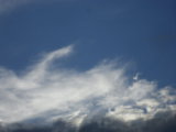 IMGP8715.JPG