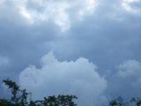 IMGP8716.JPG