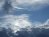 IMGP8726.JPG