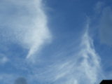IMGP8736.JPG
