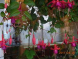DSCN5532.JPG