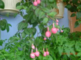 DSCN5562.JPG
