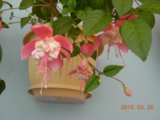 DSCN5415.JPG