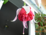 DSCN5612.JPG